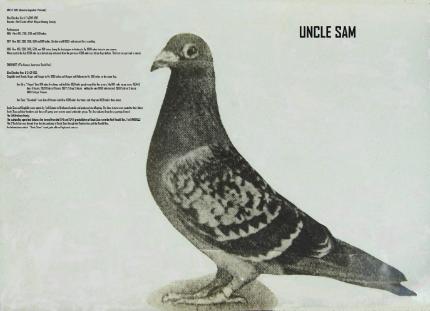 ing Pigeon publication 1 August 1919.